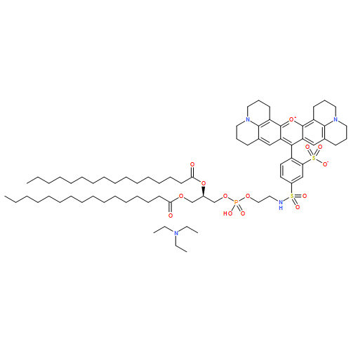 Sulforhodamine 101 1,2-dihexadecanoyl-SN-glycero-3-phosphoethanolLamine, triethylammonium salt