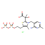 Thiazolium, 3-[(4-amino-2-methyl-5-pyrimidinyl)methyl]-2-(1-carboxy-1-hydroxyethyl)-4-methyl-5-(4,6,6-trihydroxy-4,6-dioxido-3,5-dioxa-4,6-