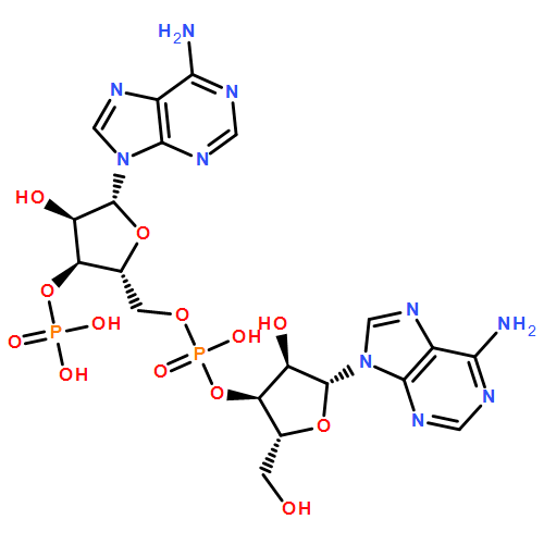 adenylyl-(3'-5')-adenosine 3'-monophosphate