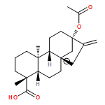 Kaur-16-en-18-oic acid, 13-(acetyloxy)-, (4α)-