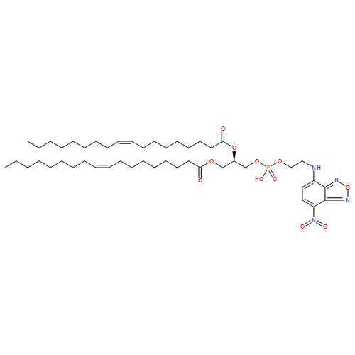 [(2r)-3-[hydroxy-[2-[(4-nitro-2,1,3-benzoxadiazol-7-yl)amino]ethoxy]phosphoryl]oxy-2-[(e)-octadec-9-enoyl]oxypropyl] (e)-octadec-9-enoate