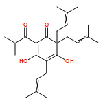 2,4-Cyclohexadien-1-one, 3,5-dihydroxy-4,6,6-tris(3-methyl-2-buten-1-yl)-2-(2-methyl-1-oxopropyl)-