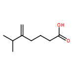Heptanoic acid, 6-methyl-5-methylene-