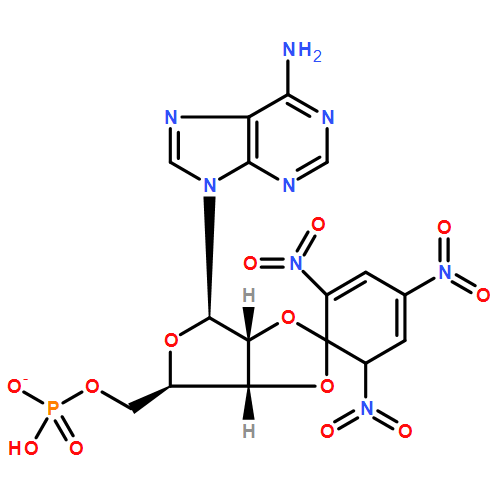 5'-Adenylic acid, 2',3'-O-(2,4,6-trinitro-2,4-cyclohexadien-1-ylidene)-, ion(1-)