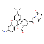5(6)-Carboxytetramethylrhodamine succinimidyl ester 