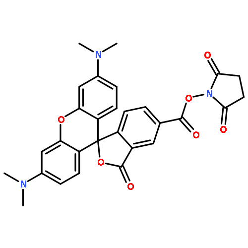 5(6)-Carboxytetramethylrhodamine succinimidyl ester 