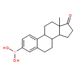 Boronic acid, B-(17-oxoestra-1,3,5(10)-trien-3-yl)-