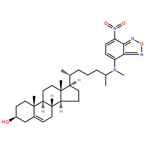 27-Norcholest-5-en-3-ol,25-[methyl(7-nitro-2,1,3-benzoxadiazol-4-yl)amino]-, (3b)-