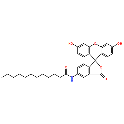 Dodecanamide,N-(3',6'-dihydroxy-3-oxospiro[isobenzofuran-1(3H),9'-[9H]xanthen]-5-yl)-
