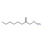 Hydroxylamine, O-(2-methyleneoctyl)- 