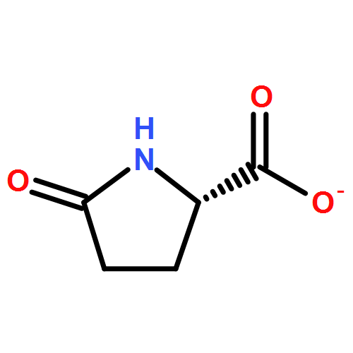 L-Proline, 5-oxo-, ion(1-)