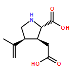3-Pyrrolidineaceticacid, 2-carboxy-4-(1-methylethenyl)-, (2S,3S,4S)-
