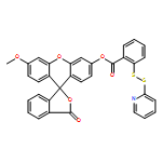 Wsp-1