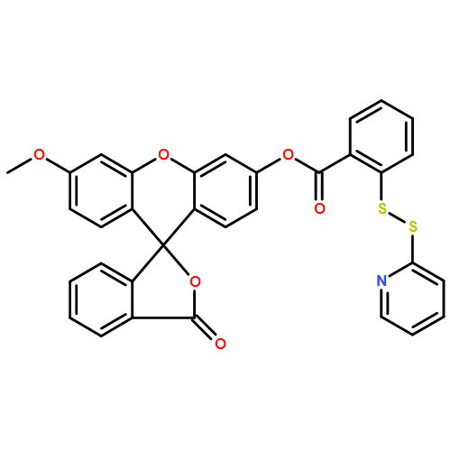 Wsp-1