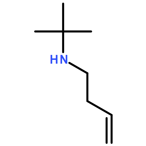N-BUT-3-ENYL-2-METHYLPROPAN-2-AMINE 