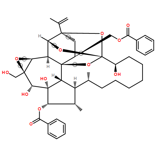 16aH-1,6:2,6-Diepoxybenz[7,8]oxireno[5,6]azuleno[8,1-bc]oxacyclotridecin-7,16,16a,17-tetrol, 4-[(benzoyloxy)methyl]eicosahydro-17a-(hydroxymethyl)-