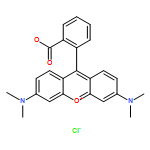 TETRAMETHYLRHODAMINE 