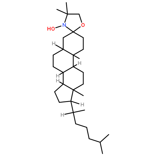 5-AMINO-1,3,4-THIADIAZOLE-2-CARBOXYLIC ACID